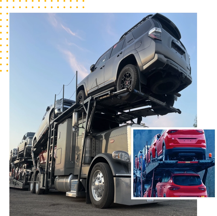 Our Mission and Our Vision